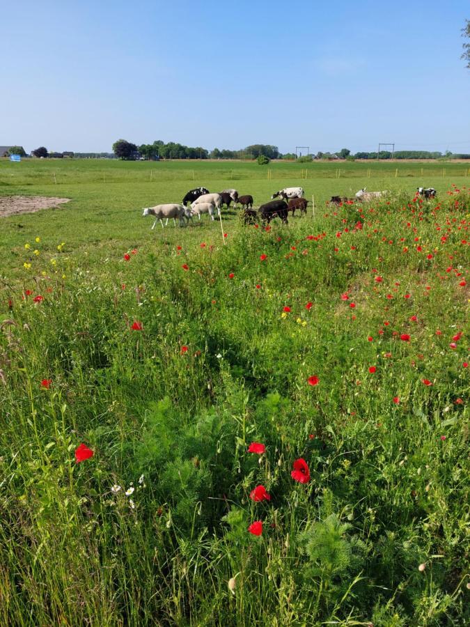 Boerderijkamer De Delle Wijhe ภายนอก รูปภาพ